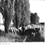 image10