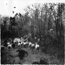 image12