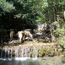 image15