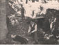 image18