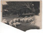 image22