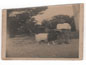 image23