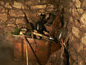 image12