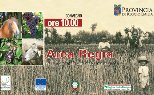 "Arca Regia"