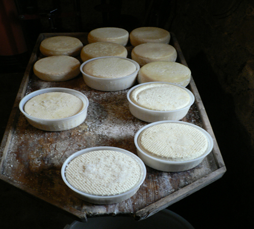 "Forme di Pecorino sul Salatoio"