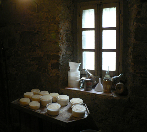 "Forme di Pecorino sul Salatoio"