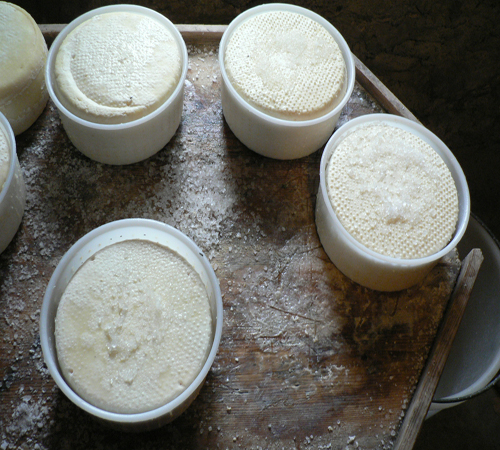 "Forme di Pecorino sul Salatoio"